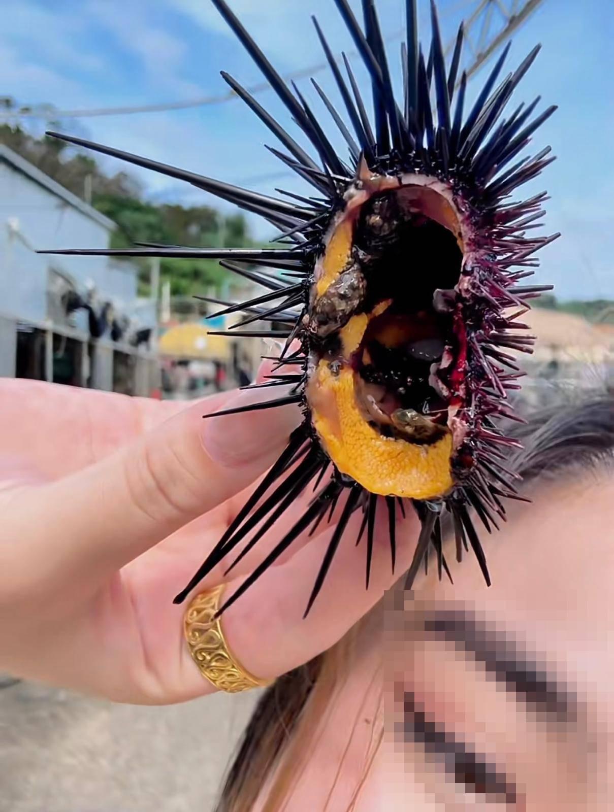 圖片來源:小紅書