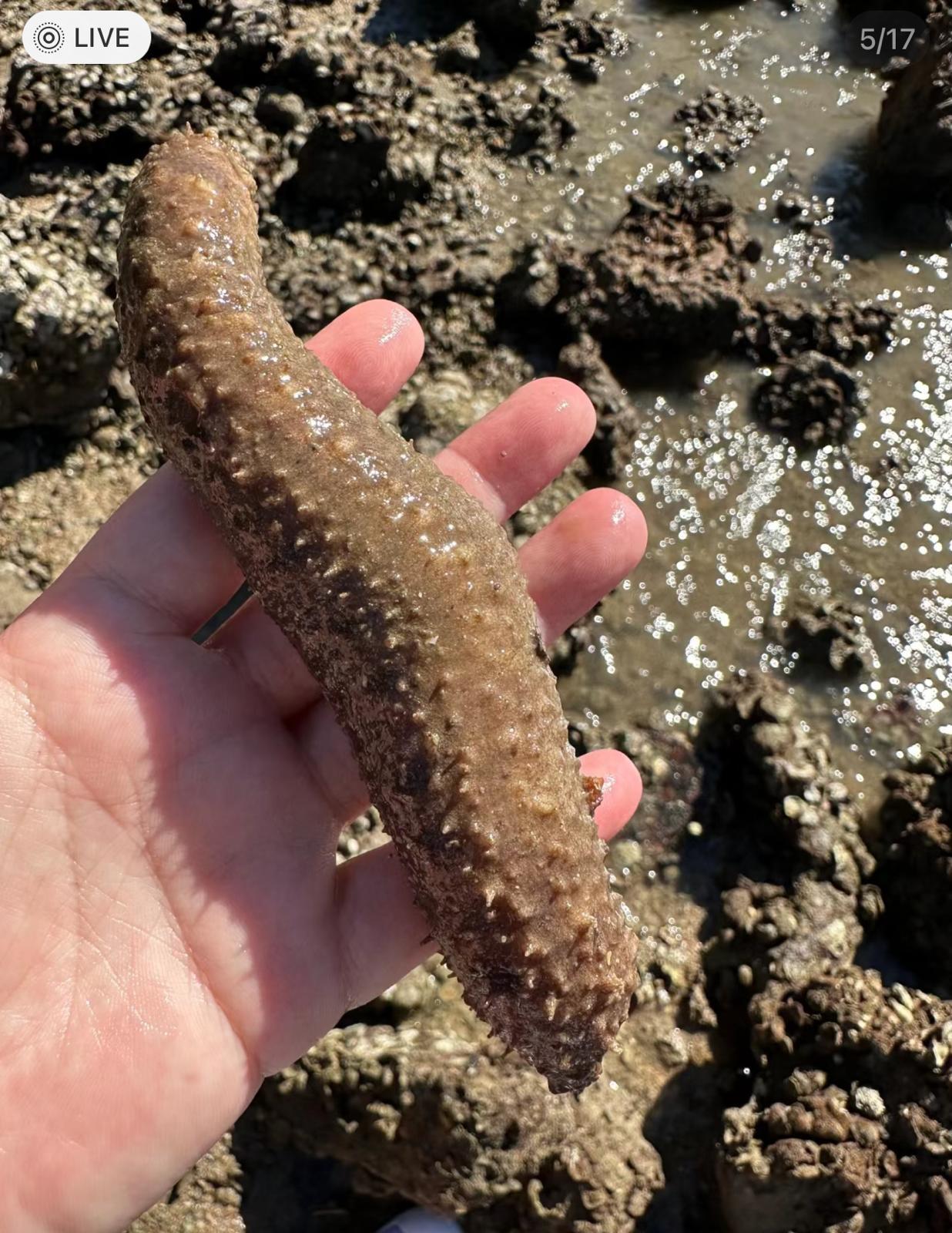 圖片來源:小紅書