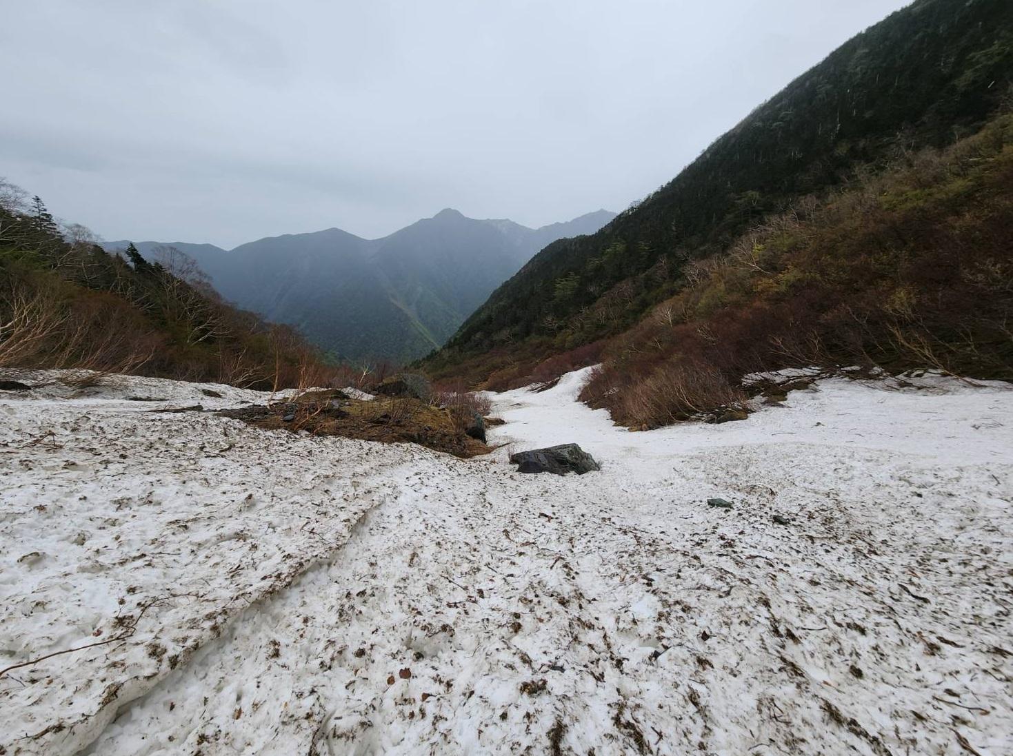 網民到山梨縣北岳大樺沢登山時發現陳年可樂。(互聯網)