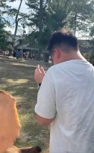 少年逃避鏡頭。(互聯網)