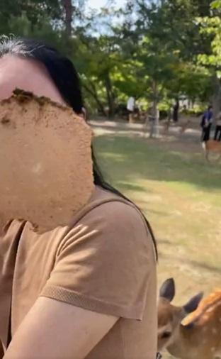 日本網民拿著「大便鹿仙貝」追著少年的母親。(互聯網)