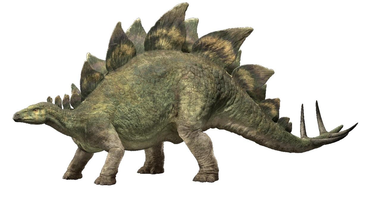 劍龍電腦模擬圖。(互聯網)