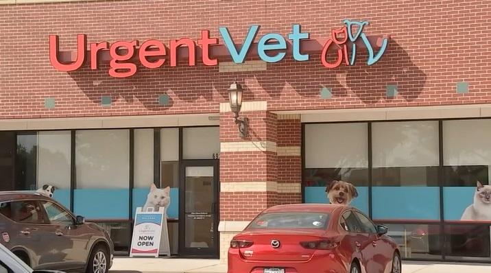 獸醫診所。(互聯網)