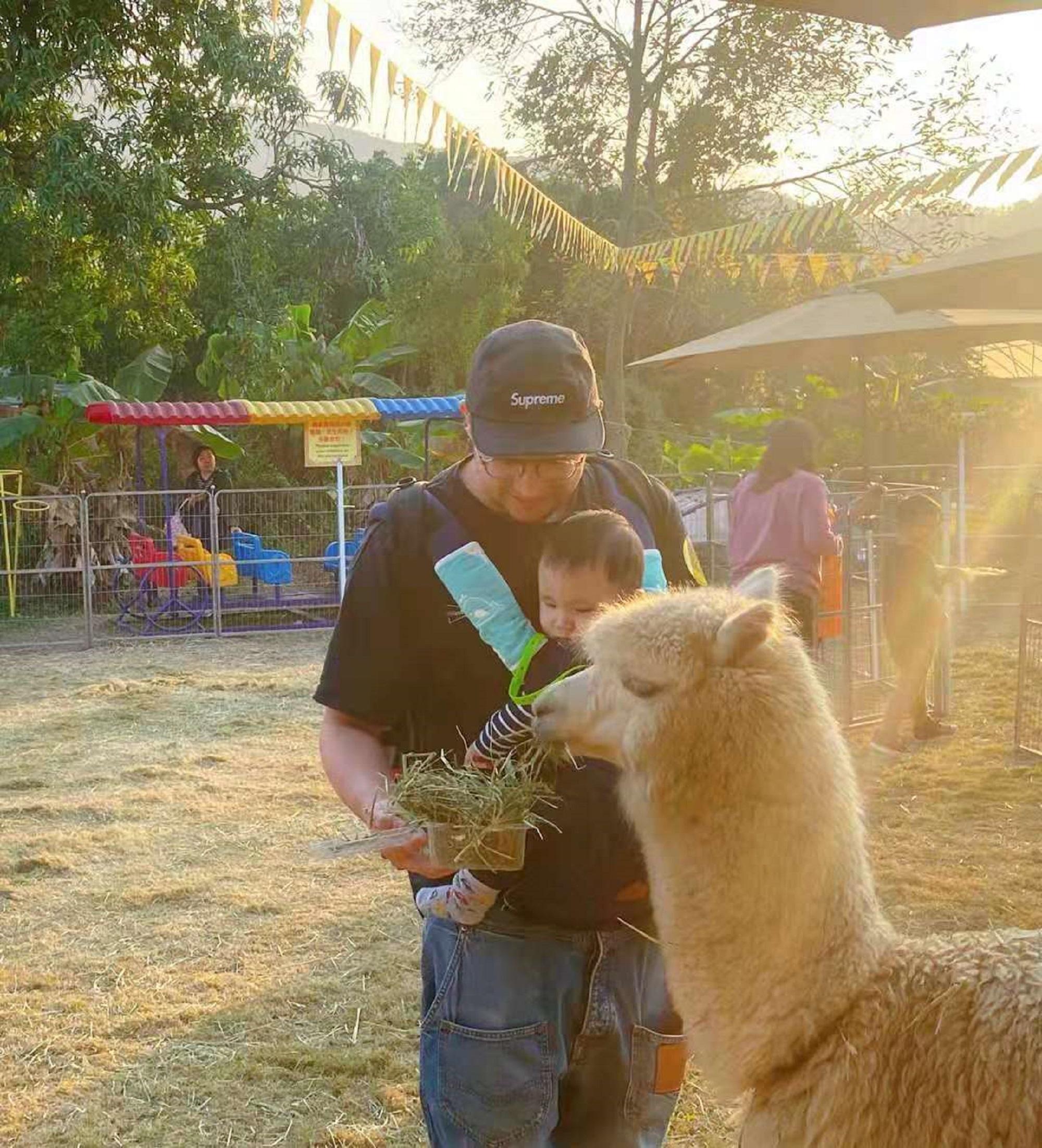 親子農莊推介|5. 元朗菠蘿園有機薈低碳農莊