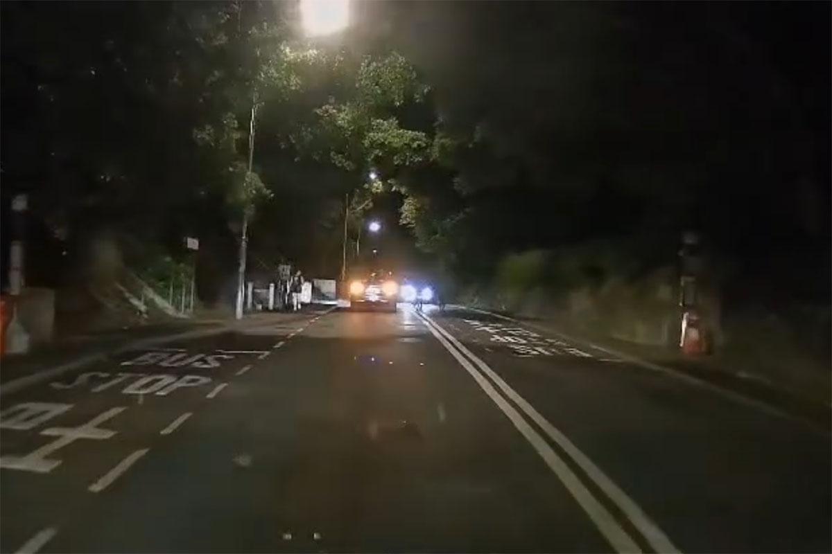 有唐狗在林錦公路行人路與馬路徘徊,最終慘遭專綫小巴撞飛。(網上影片截圖)