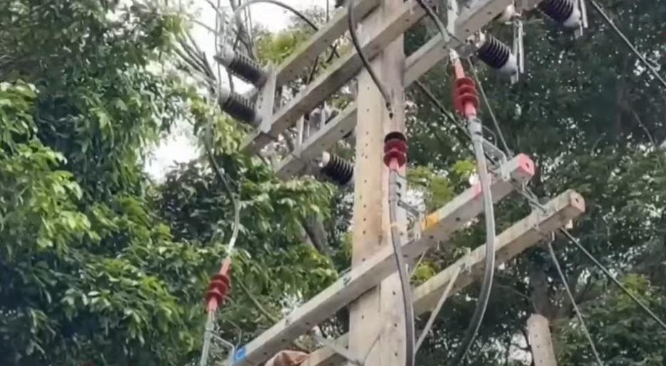 事發的電線桿。(互聯網)