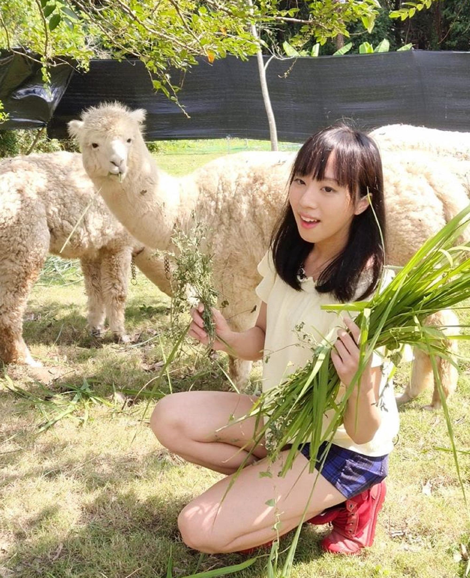 親子農莊推介|5. 元朗菠蘿園有機薈低碳農莊