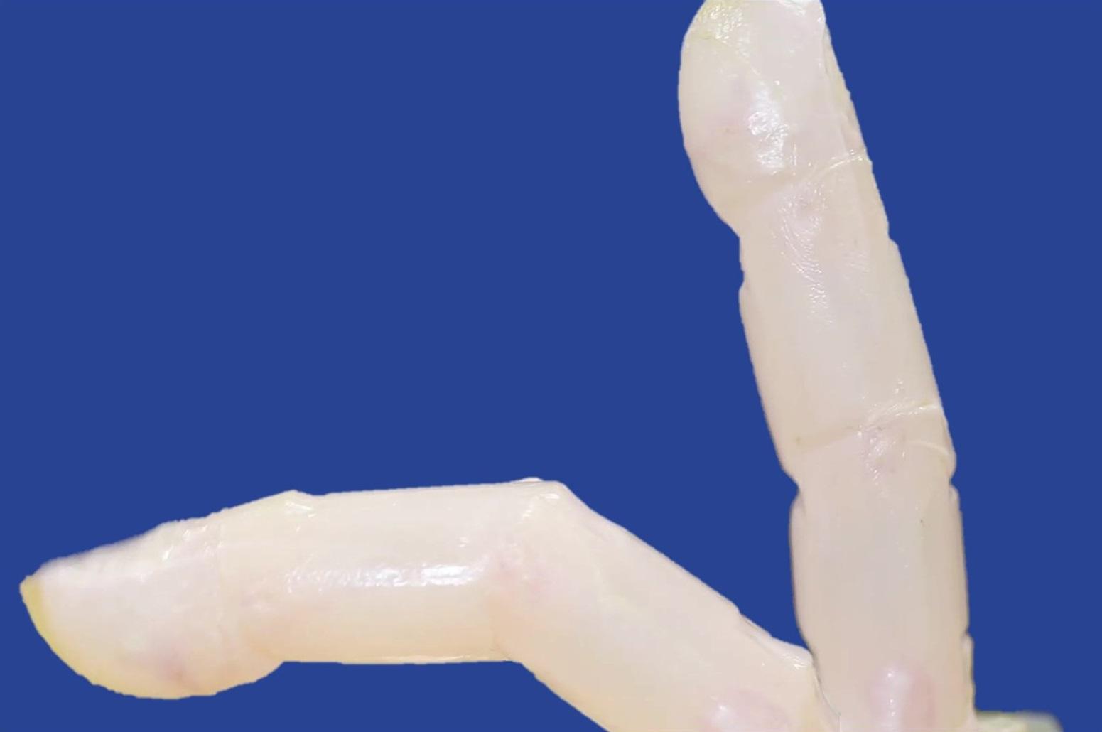 東京大學科學家於機械人手指覆蓋由實驗室培養的皮膚,然後將膠原蛋白植入皮膚傷口,以展示皮膚傷口如何自我修復。(互聯網)