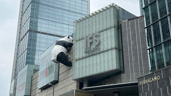 楊潤雄表示,局方已與內地單位對接,希望盡快接大熊貓到港。(楊潤雄fb圖)