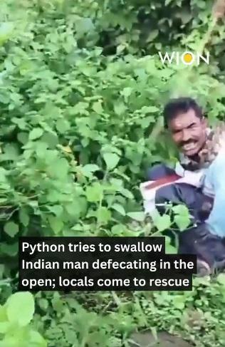男子遭蟒蛇纏頸,動彈不得。(互聯網)
