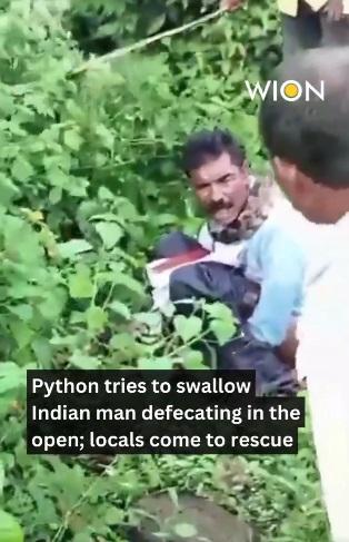 男子遭蟒蛇纏頸,呼吸困難。(互聯網)