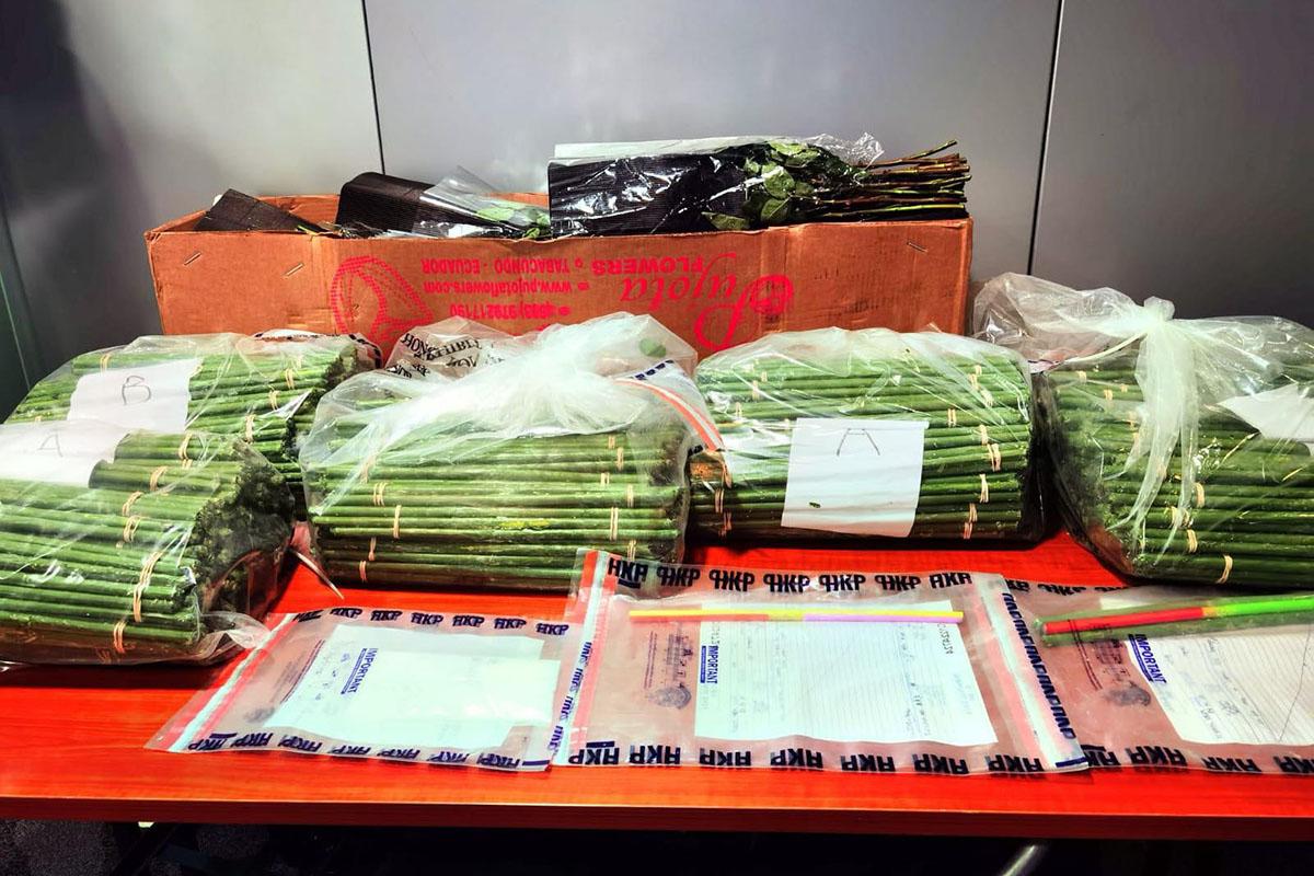 警方在葵涌拘捕兩人,涉嫌以偽裝的玫瑰花莖藏毒。