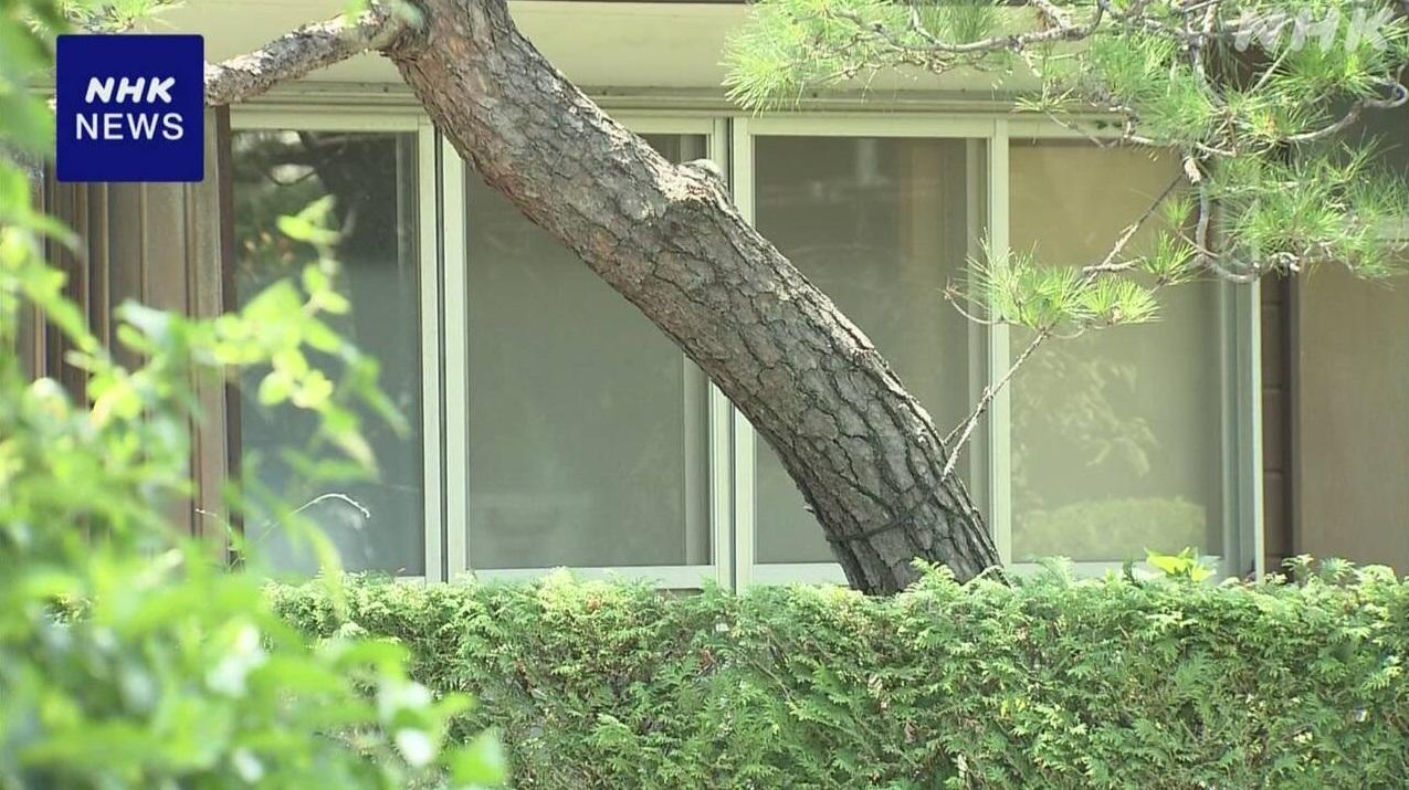 被捕婦人與母親相依為命。(互聯網)