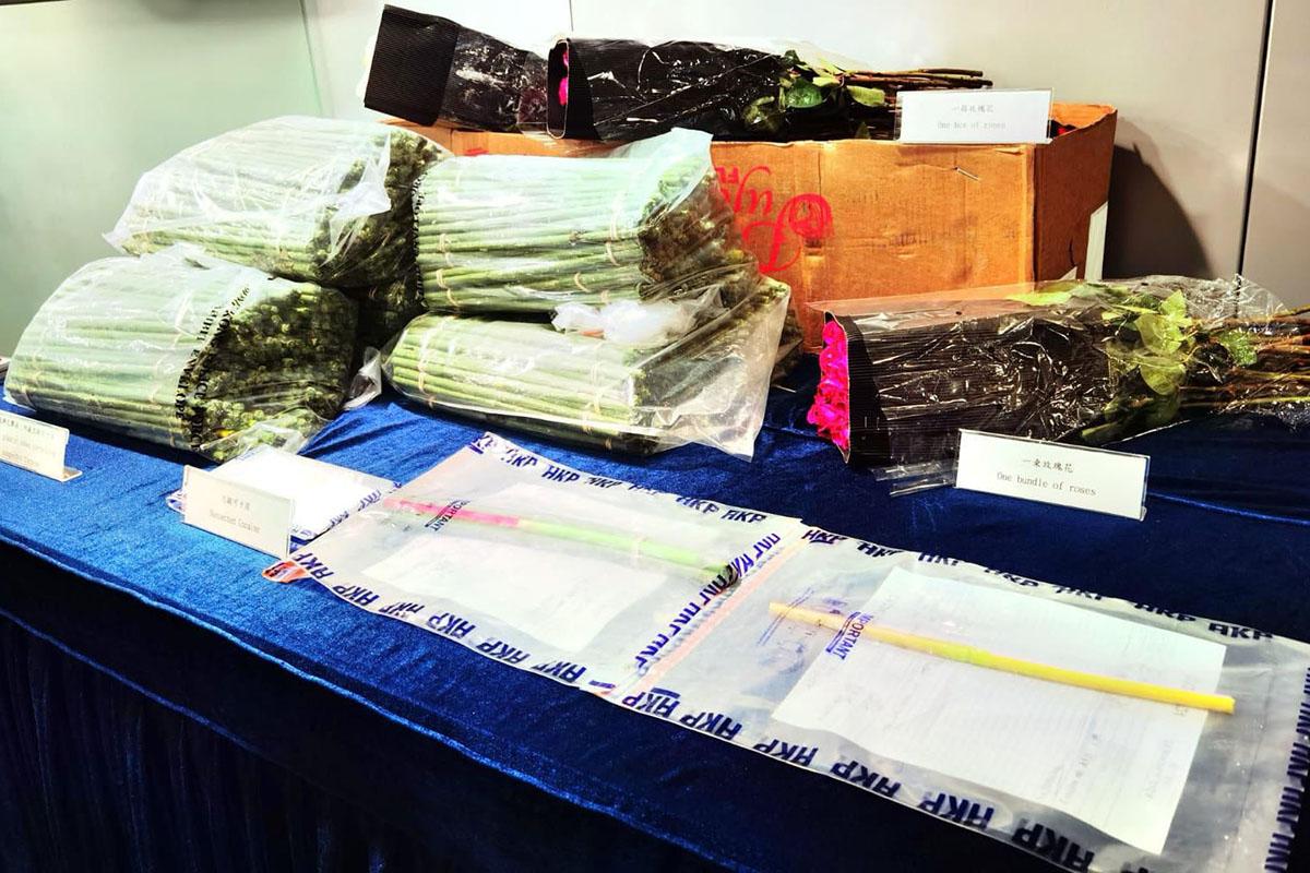 警方在葵涌拘捕兩人,涉嫌以偽裝的玫瑰花莖藏毒。