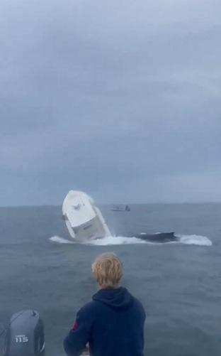 座頭鯨把漁船撞翻。(互聯網)