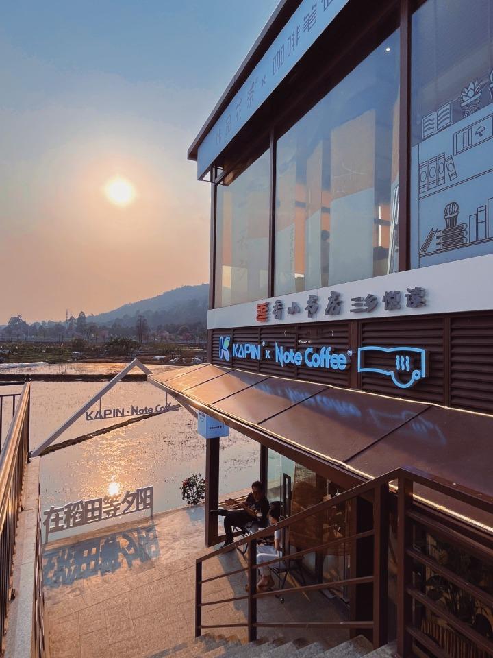 三鄉鎮橋頭稻田香山書房建於大片稻田旁,四季風景隨稻田生長而變化,是又一綱紅打卡點。(圖片來源:TongMing@小紅書)