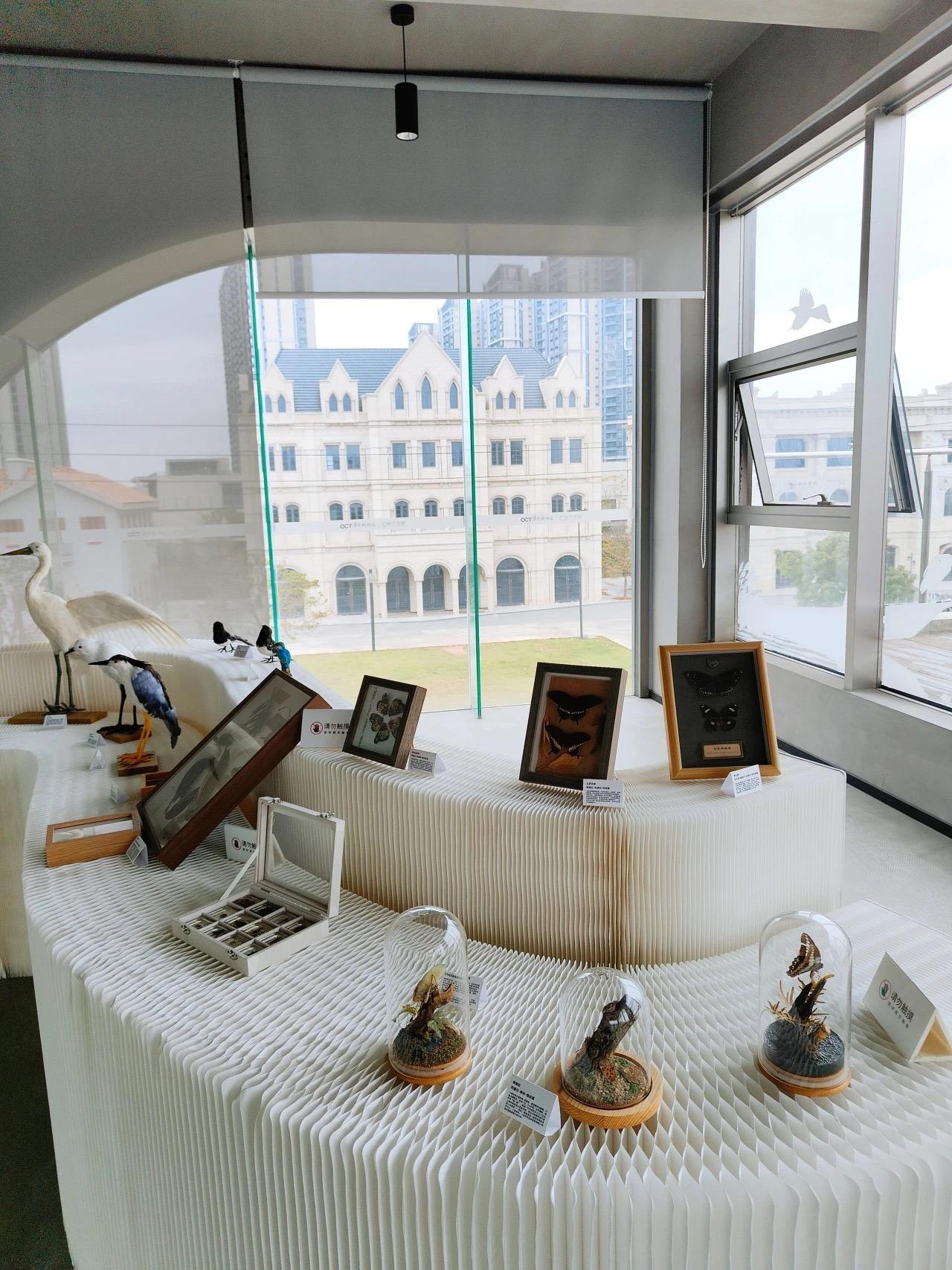 格子空間香山書房除了看書外,亦是文化展覽的場所。(圖片來源:中山市香山書房微信 )