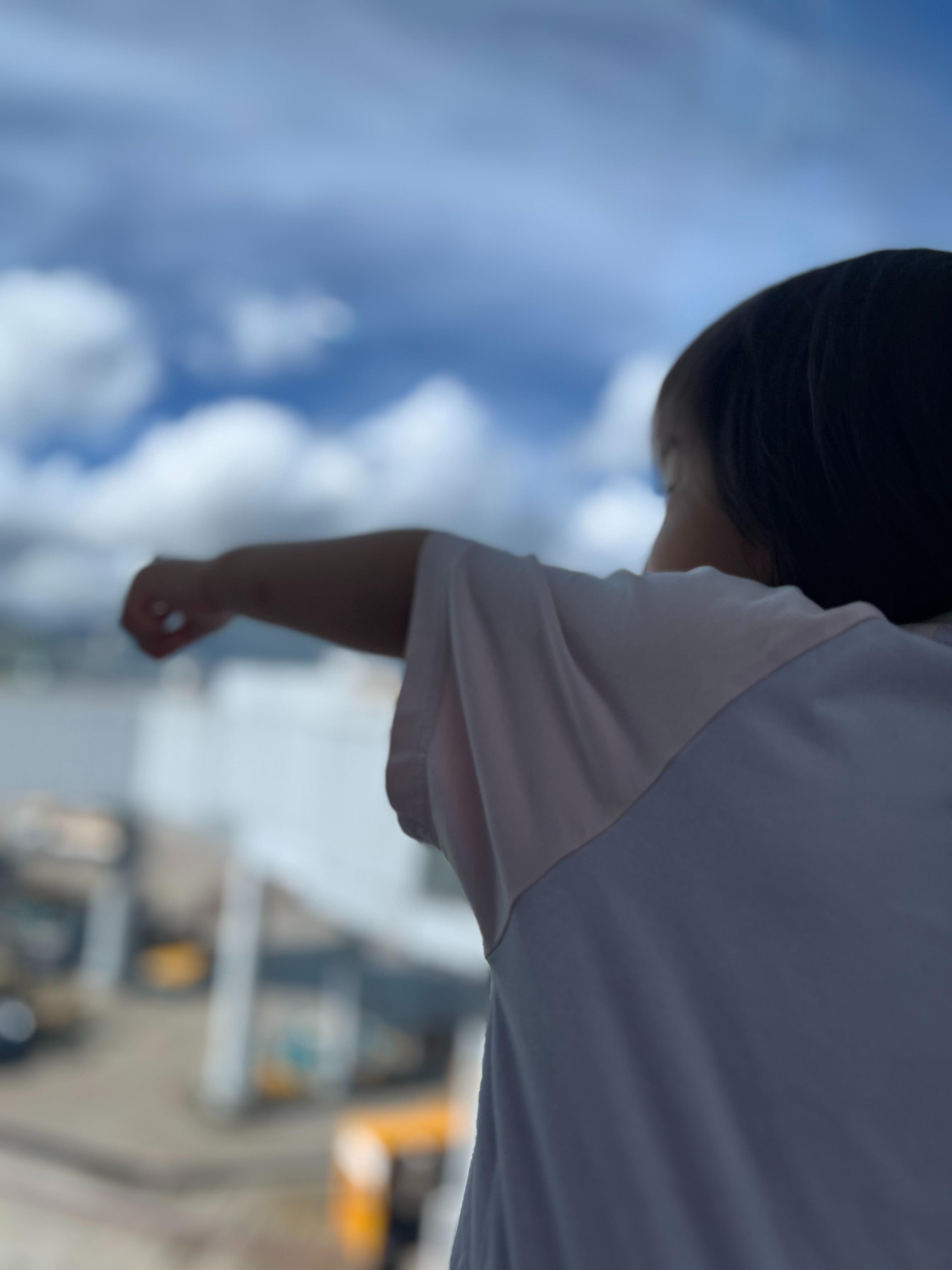 仲可在內睇飛機!