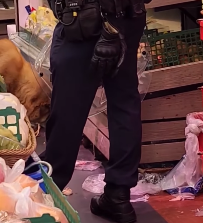 唐狗突闖入超市菜檔內「搗亂」搵食物(大埔Tai Po FB)