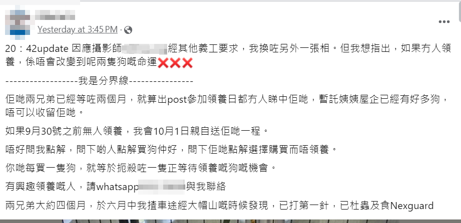 一名義工在社交平台發文為一對流浪唐狗尋找主人時,竟自設「死線」,揚言9月30號限期前仍未有人領養,10月1日將會「親自送佢哋一程」。(網上圖片)