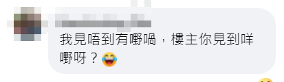 再有車Cam發現屯門青雲路有一名疑似空姐於路邊「現身」,引起網民再度熱議。