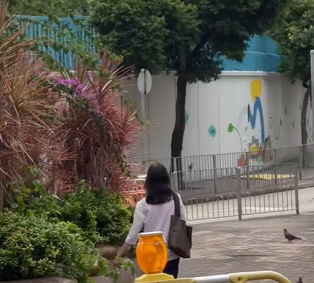 該女子撒下一把把疑似飼料。(FB「黃埔人‧紅磡人‧土瓜灣人」)
