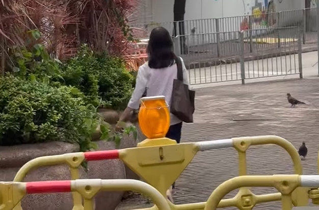 該女子撒下一把把疑似飼料。(FB「黃埔人‧紅磡人‧土瓜灣人」)