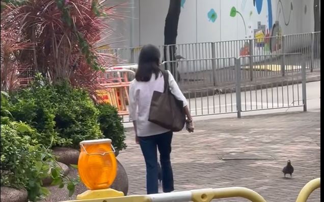 該女子撒下一把把疑似飼料。(FB「黃埔人‧紅磡人‧土瓜灣人」)