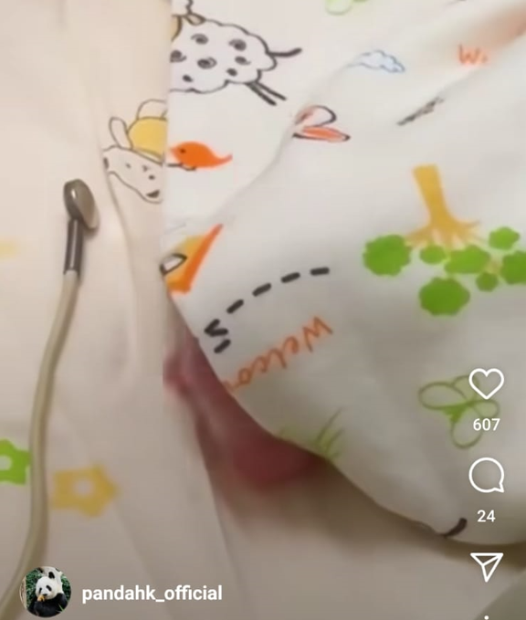 海洋公園發放大熊貓BB新片