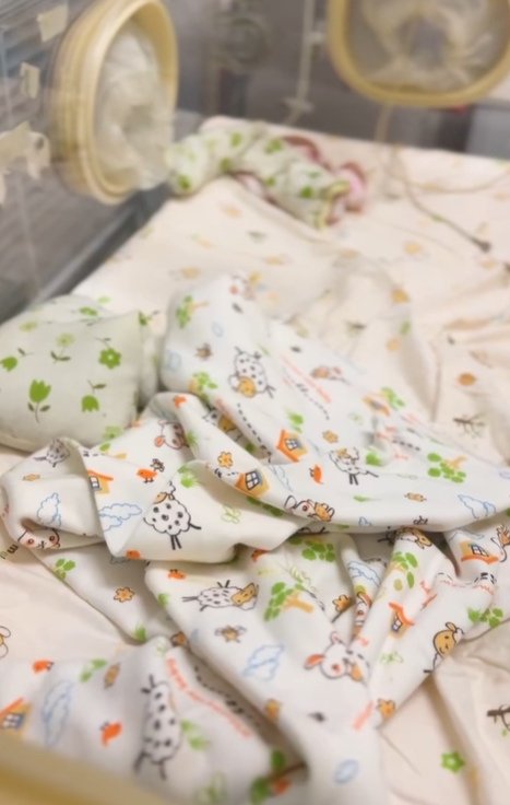 海洋公園發放大熊貓BB新片