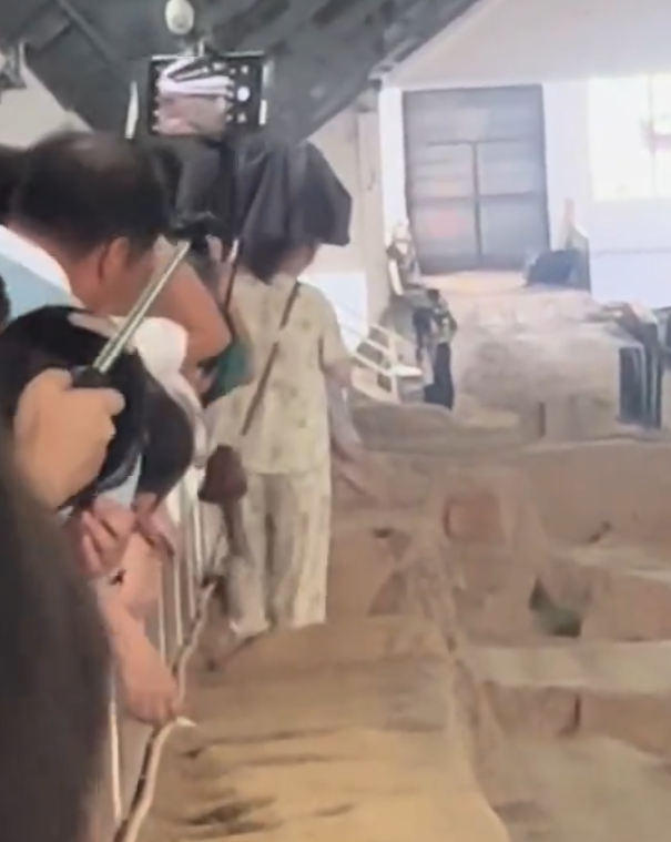 一名母親抱孩子參觀時,突直接跨過護欄走在兵馬俑坑坑道上,最終被保安帶走。(影片截圖)
