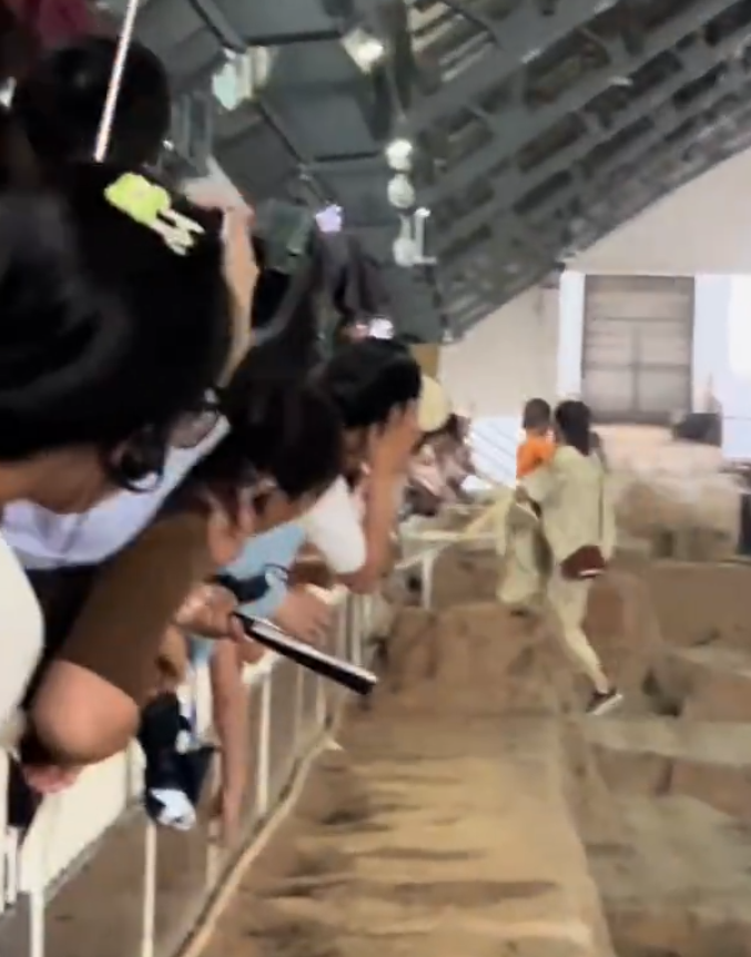 一名母親抱孩子參觀時,突直接跨過護欄走在兵馬俑坑坑道上,最終被保安帶走。(影片截圖)