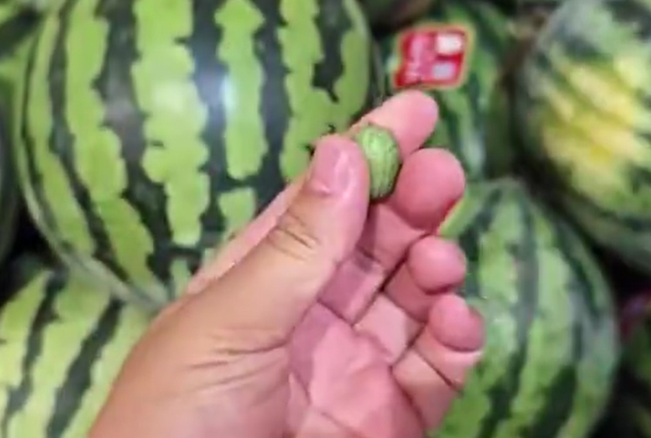 拇指西瓜