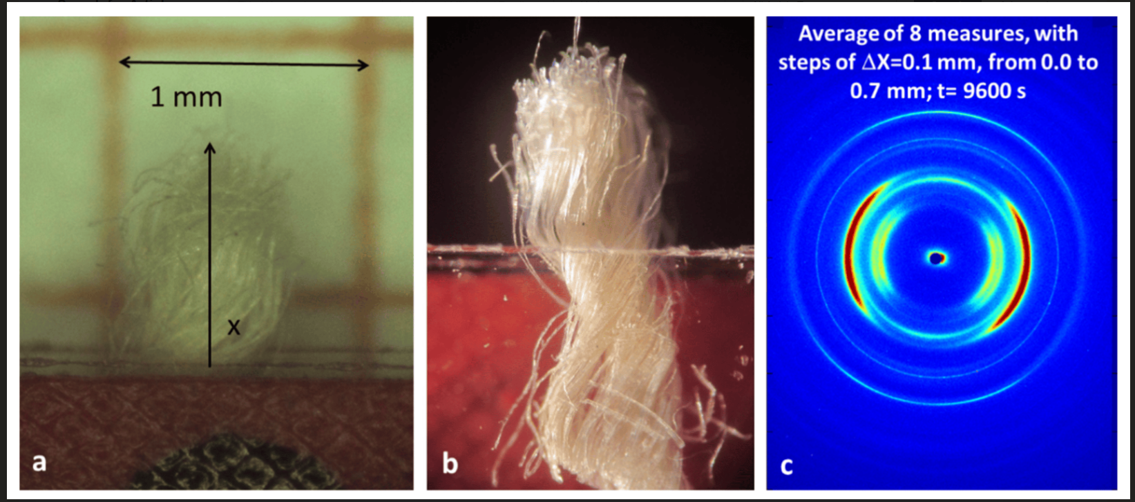 團隊根據「都靈裹屍布」纖維素分解程度來推斷其歷史。(互聯網)