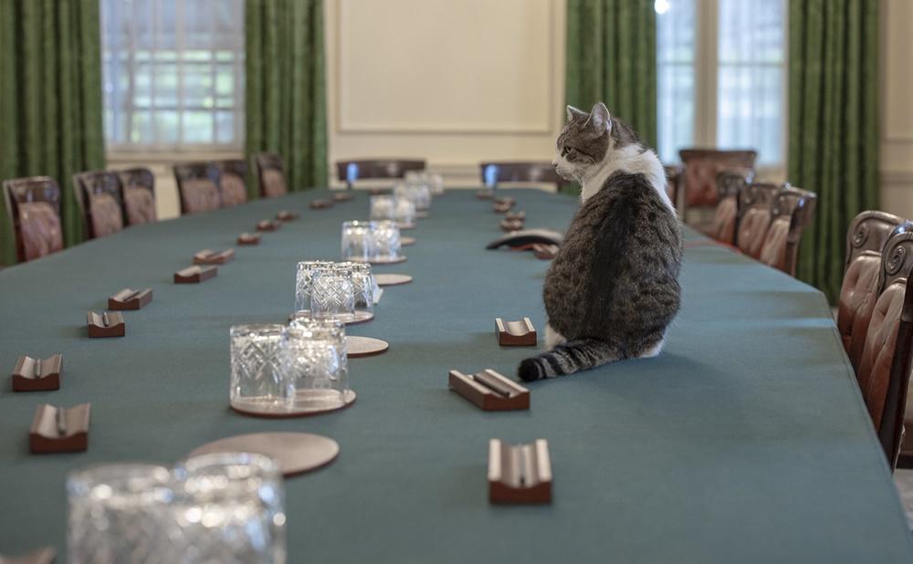 拉里經歷6位唐寧街十號的主人。(X)