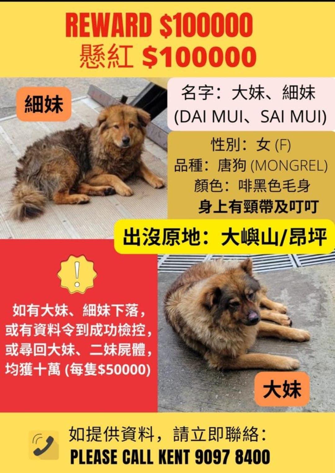 「毛守救援」創辦人Kent懸賞10萬元。(網上截圖)