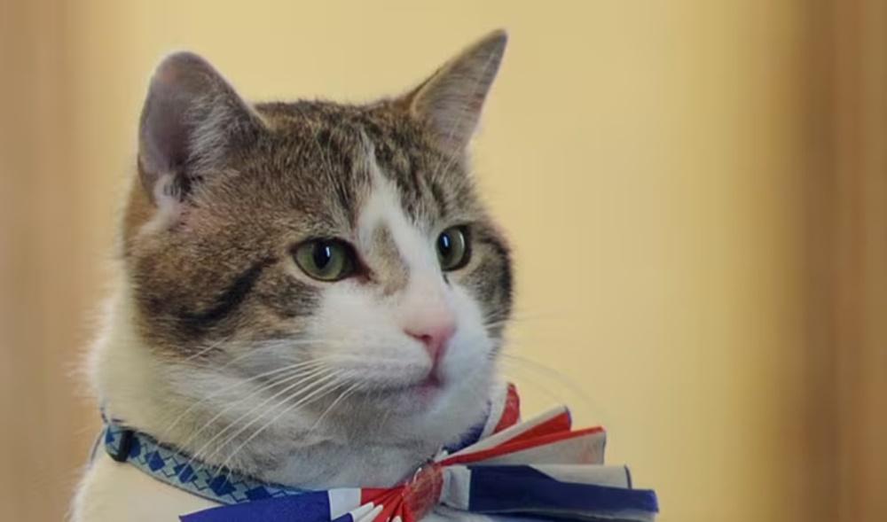 拉里目前健康一切正常,但當局認為,要小心準備拉里逝世的後續工作。(X)