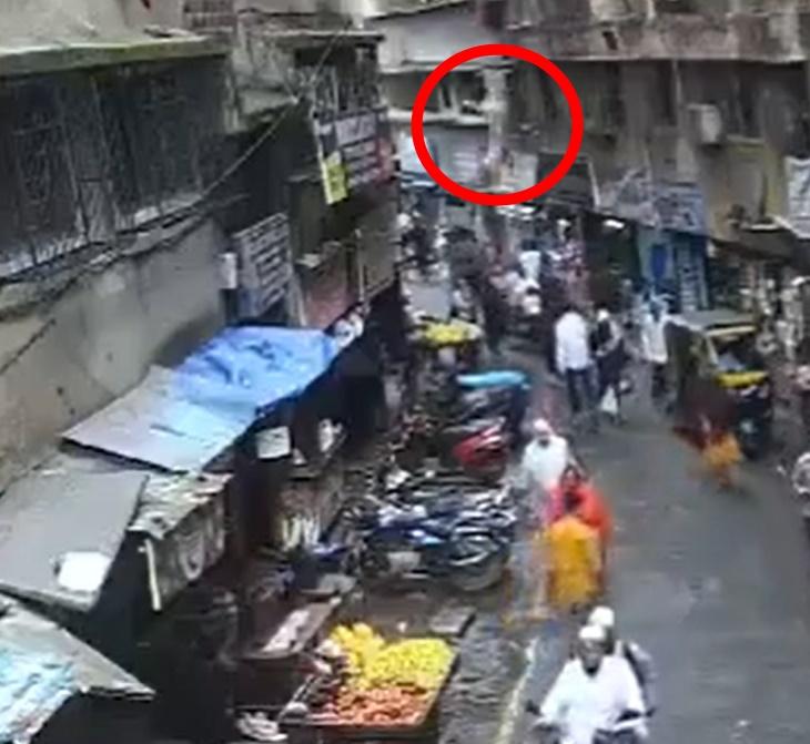 一隻金毛尋回犬不知何故突然從高處墮下。(X)