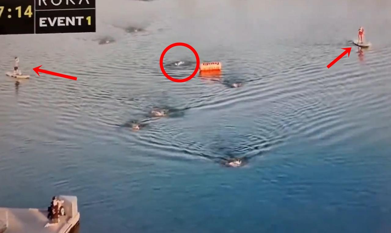 疑似是Lazar在湖中突然停止划水,在他的兩旁不遠處都有救生員在浮板上觀察現場。(X)