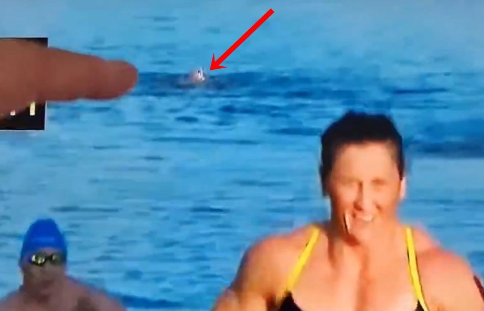 多名選手在水中游泳,疑似是Lazar的身影突然停下,接著便開始隨海浪上下浮動。(X)