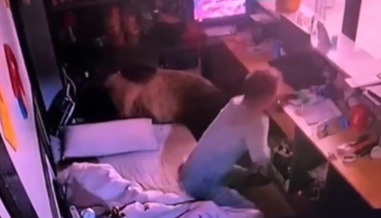 趁棕熊正專注搜刮物品時,男職員立即起身離開,還不忘拿走放在櫃台上的手機。(微博)