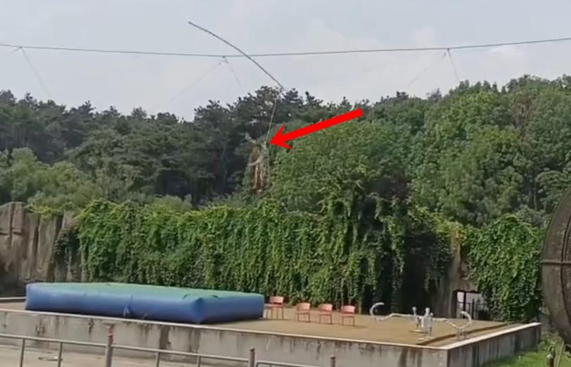 有眼利網民留意到特技人行走鋼線時似乎配帶了安全繩,惟當他墮下時,懷疑安全繩鬆脫。(微博)