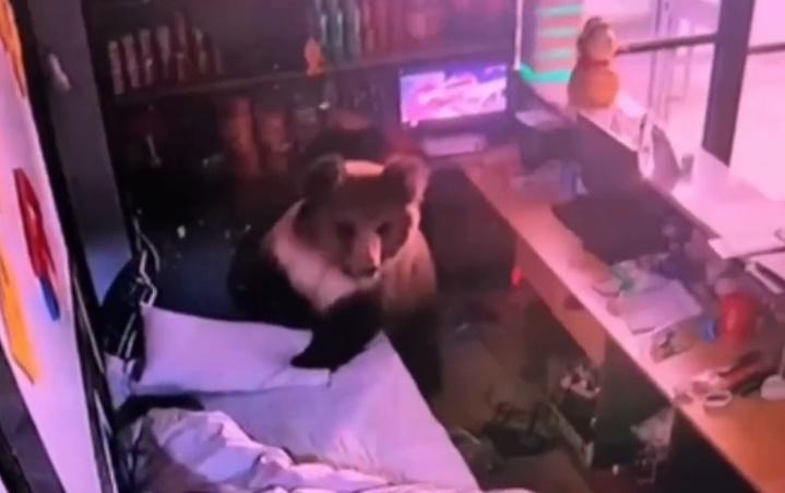 棕熊察覺有異,轉頭一看,才發現有人離開。(微博)