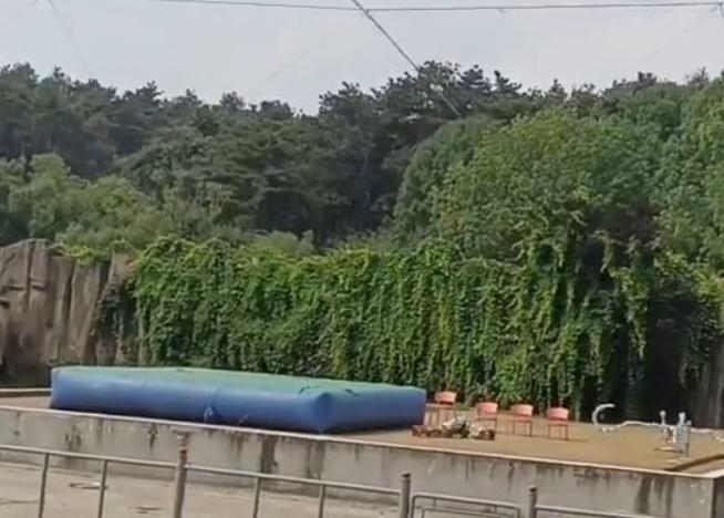 特技人墜落在安全氣墊旁的空地上。(微博)