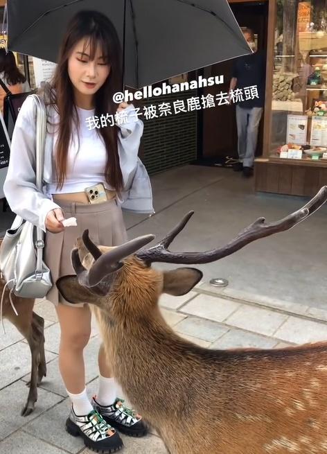 這隻鹿剛走,另一隻鹿又聞一聞那梳子,徐小花隨即幫牠梳頭。(IG)