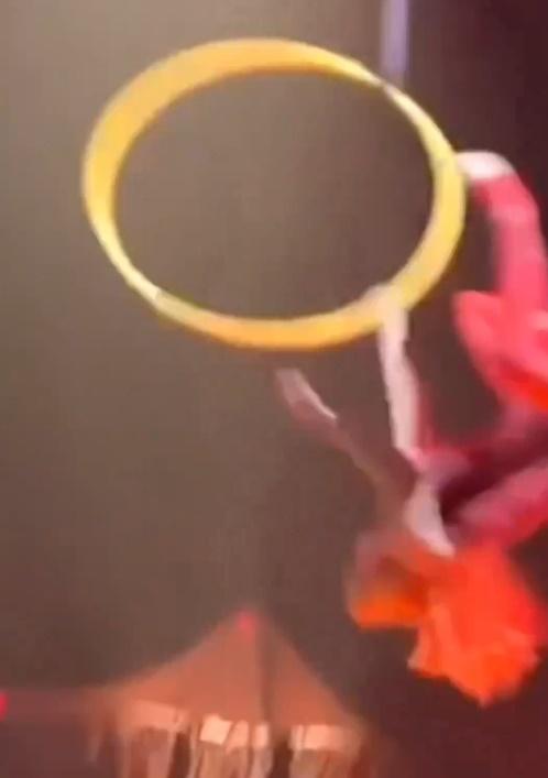 期間疑似因握力不足,不慎墮下。(X)