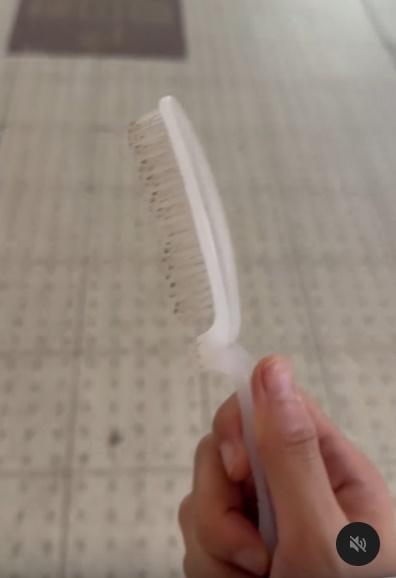 徐小花更展示那把梳。(Threads)