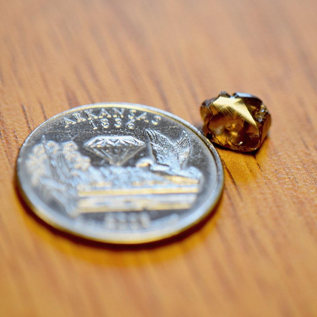 父子將挖出的鑽石命名為「小發現」(Minor Find)。(X)