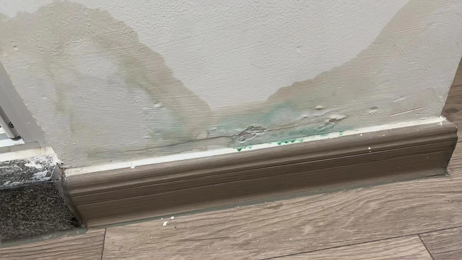 「啟德‧東寓」項目曾有約60戶單位內牆身滲水,約40戶曾有部分水管滲漏(九龍城區議員林博提供)