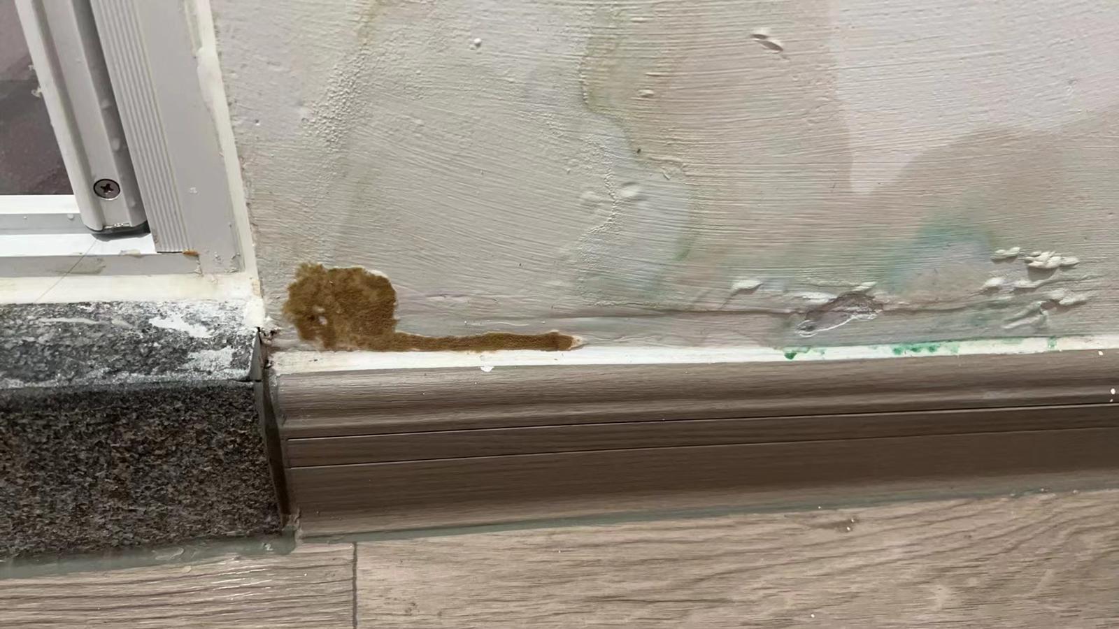 「啟德‧東寓」項目曾有約60戶單位內牆身滲水,約40戶曾有部分水管滲漏(九龍城區議員林博提供)